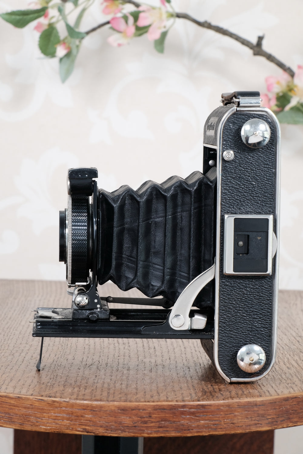 Mint! 1936 Voigtlander Inos II 6x9 Folder, CLA’d, Freshly Serviced!