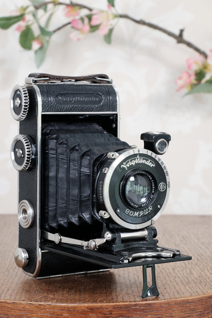 Mint! 1936 Voigtlander Inos II 6x9 Folder, CLA’d, Freshly Serviced!