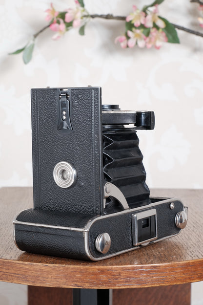 Near Mint! 1934 Voigtlander Inos II 6x9 with Heliar lens and mask, CLA’d, Freshly Serviced!