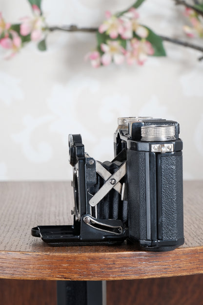 Superb! 1934 Zeiss-Ikon Super Nettel (236/24), CLA'd, Freshly Serviced!