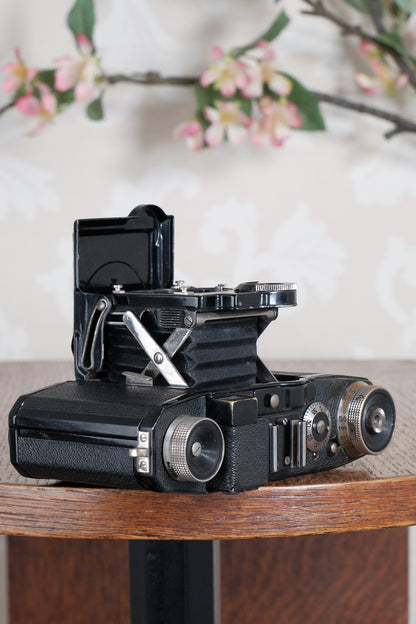 Superb! 1934 Zeiss-Ikon Super Nettel (236/24), CLA'd, Freshly Serviced!