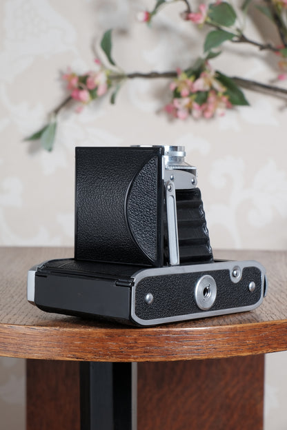 Near Mint! 1953 6x6 Voigtlander Perkeo II with Color-Skopar Lens. CLA’d, Freshly Serviced!