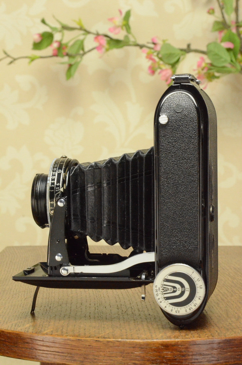 NEAR MINT 1938 Voigtlander Bessa Rangefinder, HELIAR LENS! 6x9, Freshly Serviced - Voigtlander- Petrakla Classic Cameras