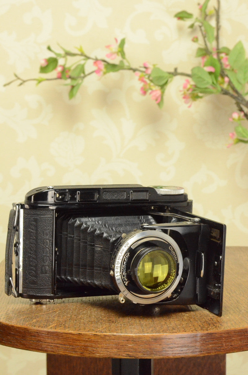 NEAR MINT 1938 Voigtlander Bessa Rangefinder, HELIAR LENS! 6x9, Freshly Serviced - Voigtlander- Petrakla Classic Cameras