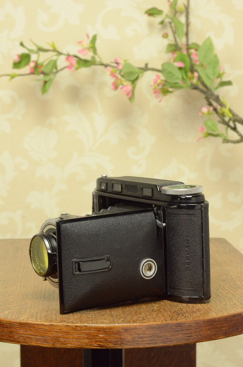 NEAR MINT 1938 Voigtlander Bessa Rangefinder, HELIAR LENS! 6x9, Freshly Serviced - Voigtlander- Petrakla Classic Cameras