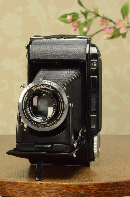 1939 Voigtlander Bessa Rangefinder with HELIAR LENS! 6x9, Freshly Serviced - Voigtlander- Petrakla Classic Cameras