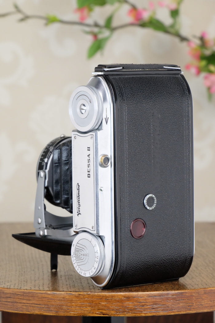 Superb! 1954 Voigtlander 6x9 Bessa II with Heliar lens, Freshly serviced, CLA'd - Voigtlander- Petrakla Classic Cameras