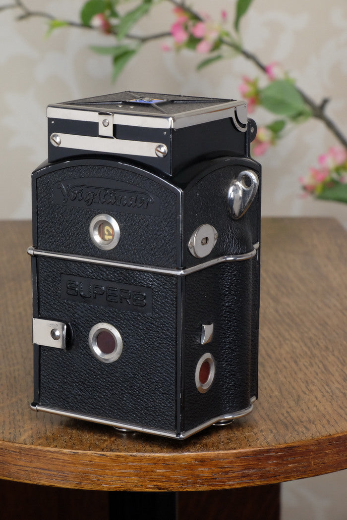 1933 Voigtlander 6x6 Superb TLR, the desirable model with “big ears”, Freshly Serviced! - Voigtlander- Petrakla Classic Cameras