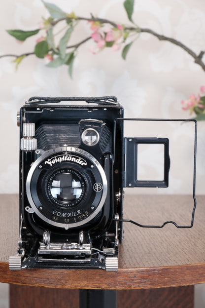 Absolutely Superb! Rare Green Voigtlander 1934 Bergheil Camera (De Luxe) with Heliar lens & 120 Rada rollfilm back, Freshly serviced, CLA'd!