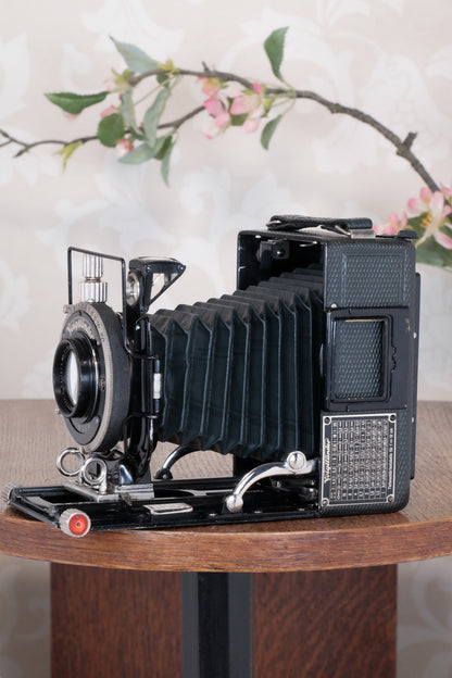 Absolutely Superb! Rare Green Voigtlander 1934 Bergheil Camera (De Luxe) with Heliar lens & 120 Rada rollfilm back, Freshly serviced, CLA'd!