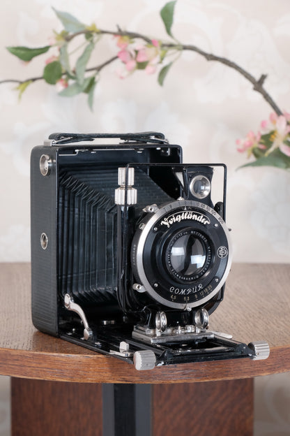 Absolutely Superb! Rare Green Voigtlander 1934 Bergheil Camera (De Luxe) with Heliar lens & 120 Rada rollfilm back, Freshly serviced, CLA'd!