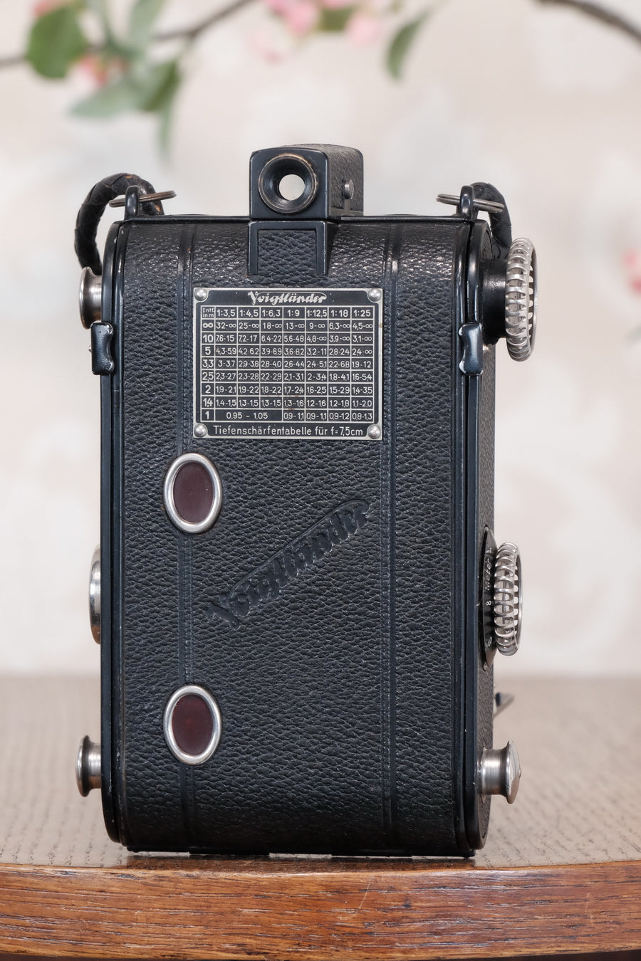 Rare! Near mint, 1935 Voigtlander Virtus 6x4.5 Folder, CLAd, Freshly Serviced!