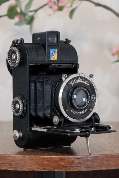 Rare! Near mint, 1935 Voigtlander Virtus 6x4.5 Folder, CLAd, Freshly Serviced!