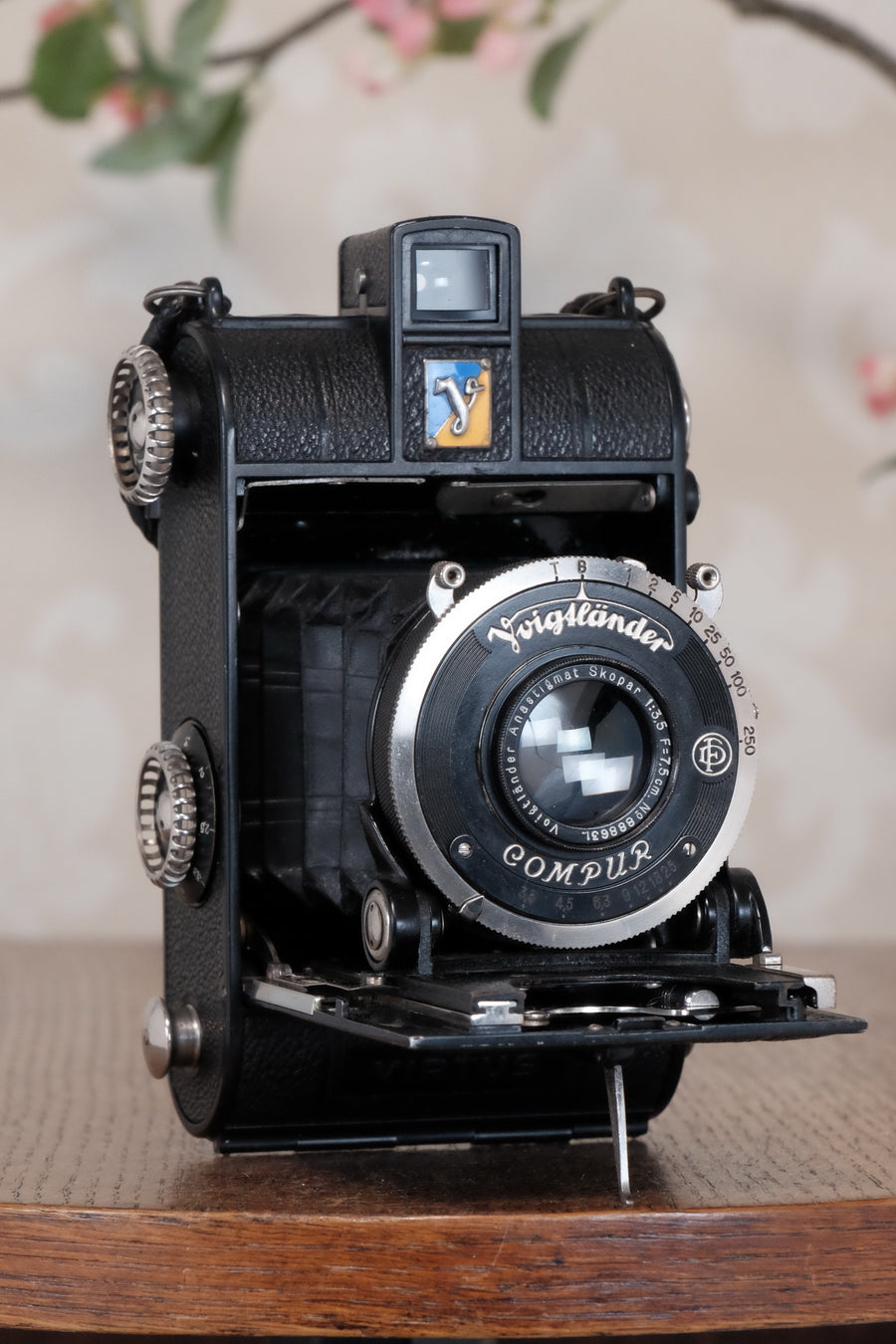 Rare! Near mint, 1935 Voigtlander Virtus 6x4.5 Folder, CLAd, Freshly Serviced!