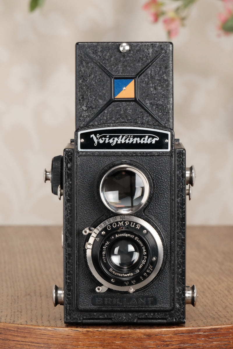 1935 Voigtlander Brillant 6x6 TLR, CLA'd, Freshly Serviced! - Voigtlander- Petrakla Classic Cameras