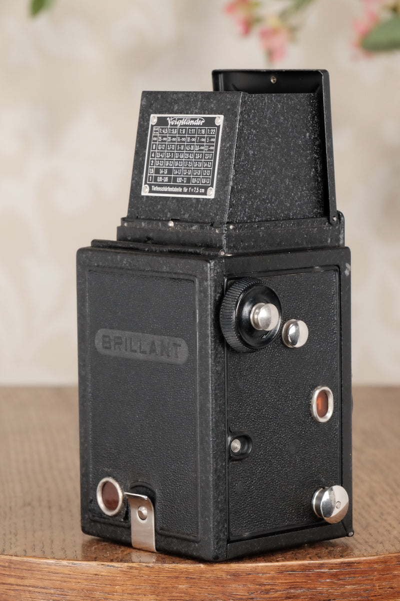 1935 Voigtlander Brillant 6x6 TLR, CLA'd, Freshly Serviced! - Voigtlander- Petrakla Classic Cameras