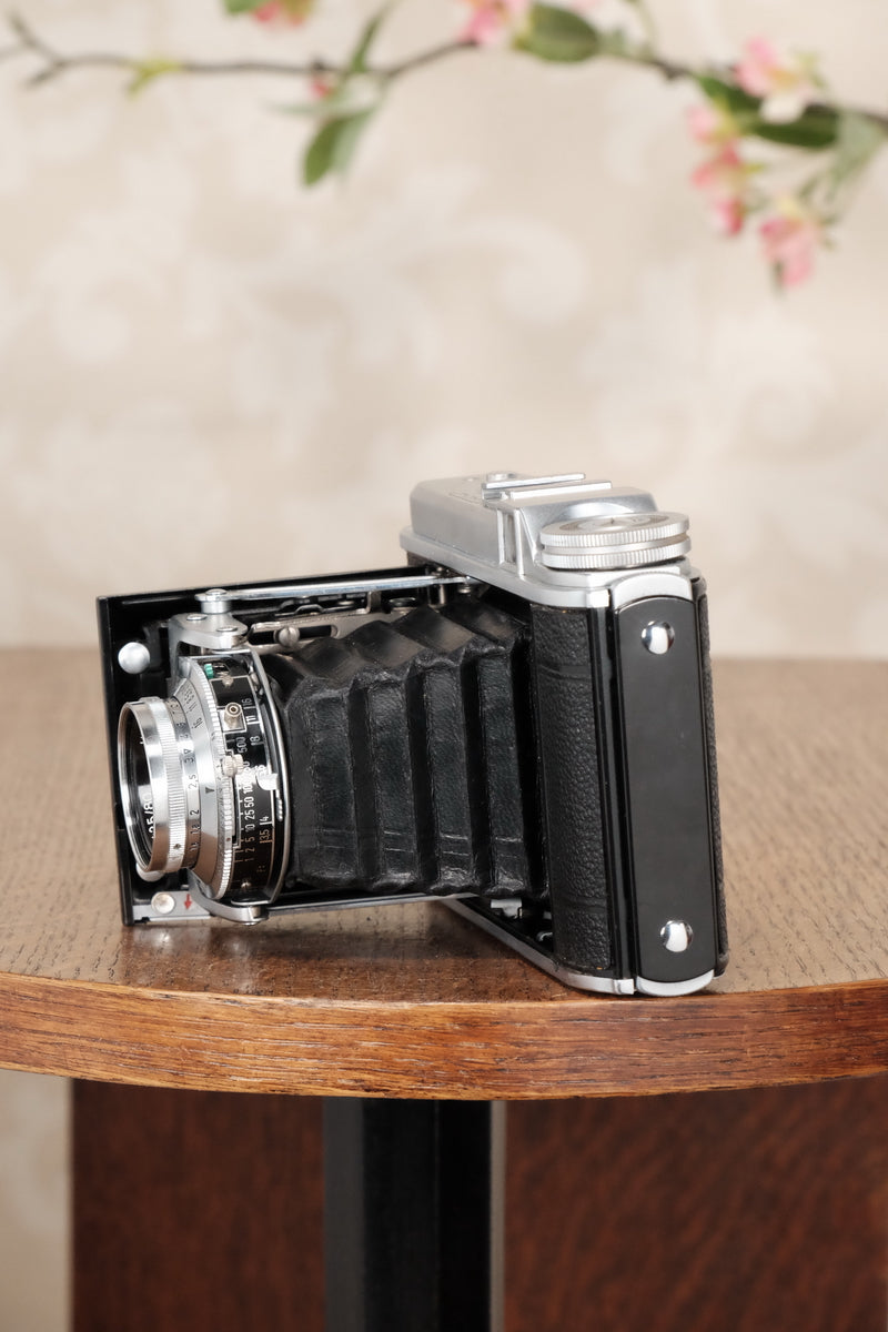 Superb! 1952 6x6 Voigtlander Perkeo II with Color-Skopar Lens & Synchro-Compur Shutter, CLA’d, Freshly Serviced! - Voigtlander- Petrakla Classic Cameras