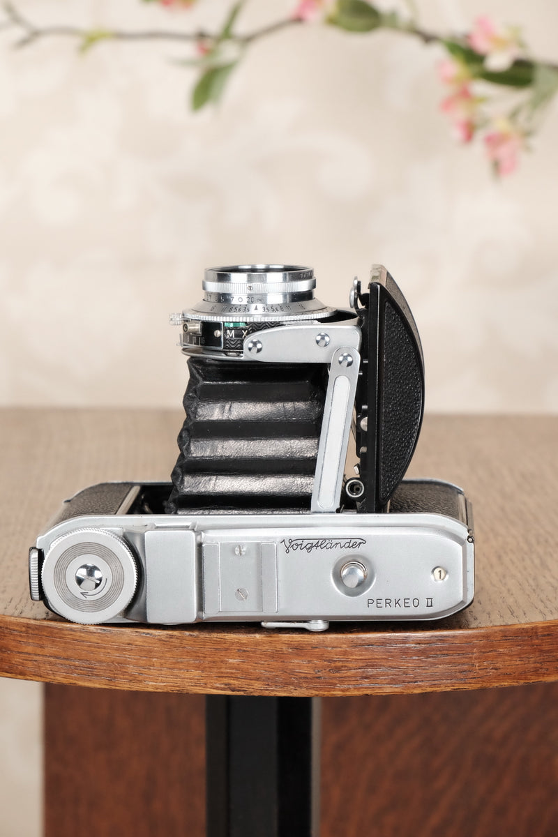 Superb! 1952 6x6 Voigtlander Perkeo II with Color-Skopar Lens & Synchro-Compur Shutter, CLA’d, Freshly Serviced! - Voigtlander- Petrakla Classic Cameras