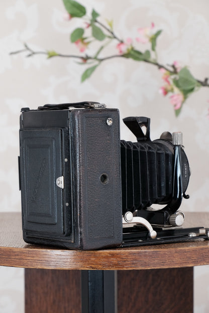 1927 Voigtlander Bergheil Camera with HELIAR LENS! Freshly serviced CLA’d - Voigtlander- Petrakla Classic Cameras