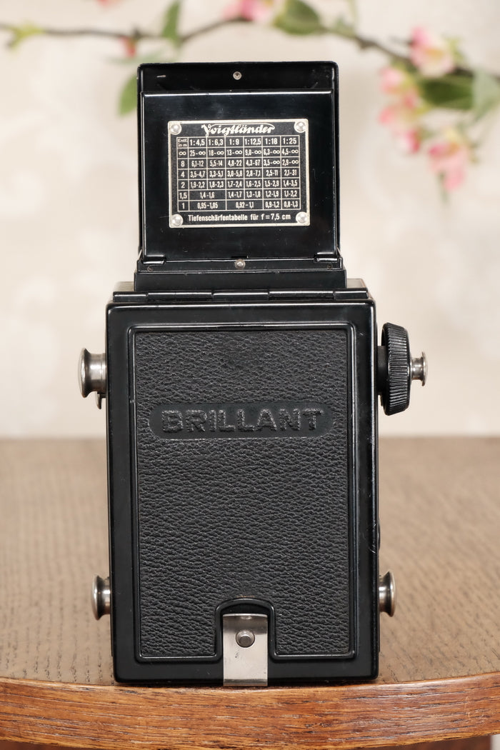 1935 Voigtlander Brillant 6x6 TLR, CLA'd, Freshly Serviced! - Voigtlander- Petrakla Classic Cameras