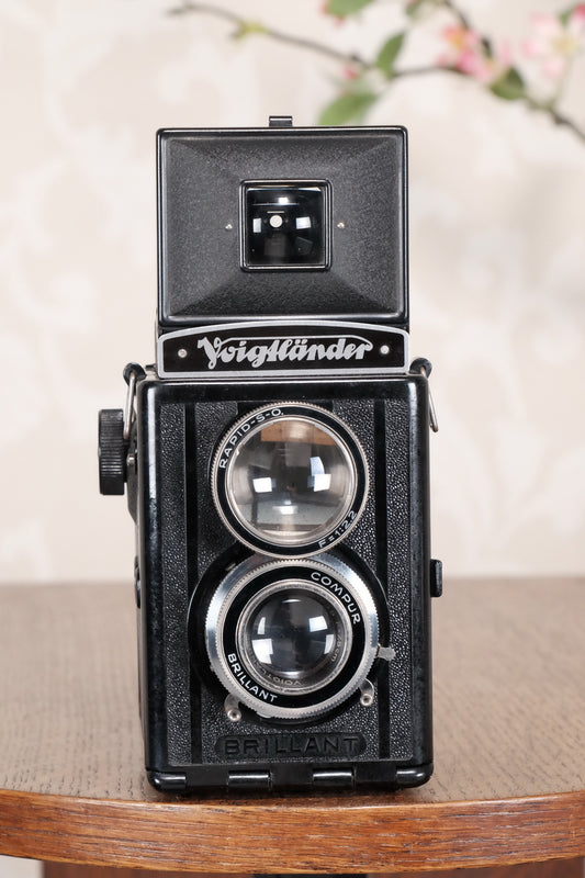 1938 Voigtlander Brillant 6x6 TLR, CLA'd, Freshly Serviced! - Voigtlander- Petrakla Classic Cameras