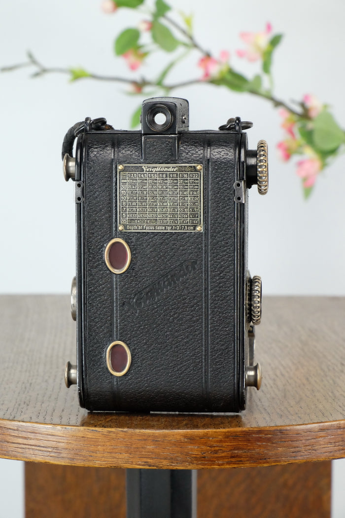 1934 Voigtlander Virtus 6x4.5 Folder, CLAd, Freshly Serviced! - Voigtlander- Petrakla Classic Cameras