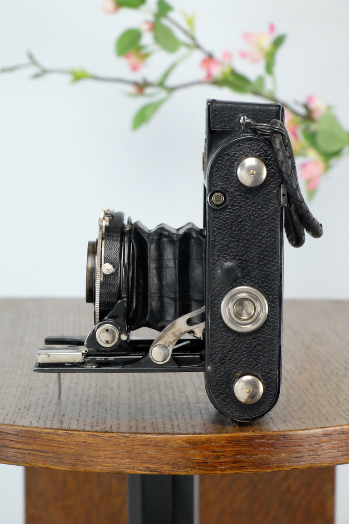 1934 Voigtlander Virtus 6x4.5 Folder, CLAd, Freshly Serviced! - Voigtlander- Petrakla Classic Cameras