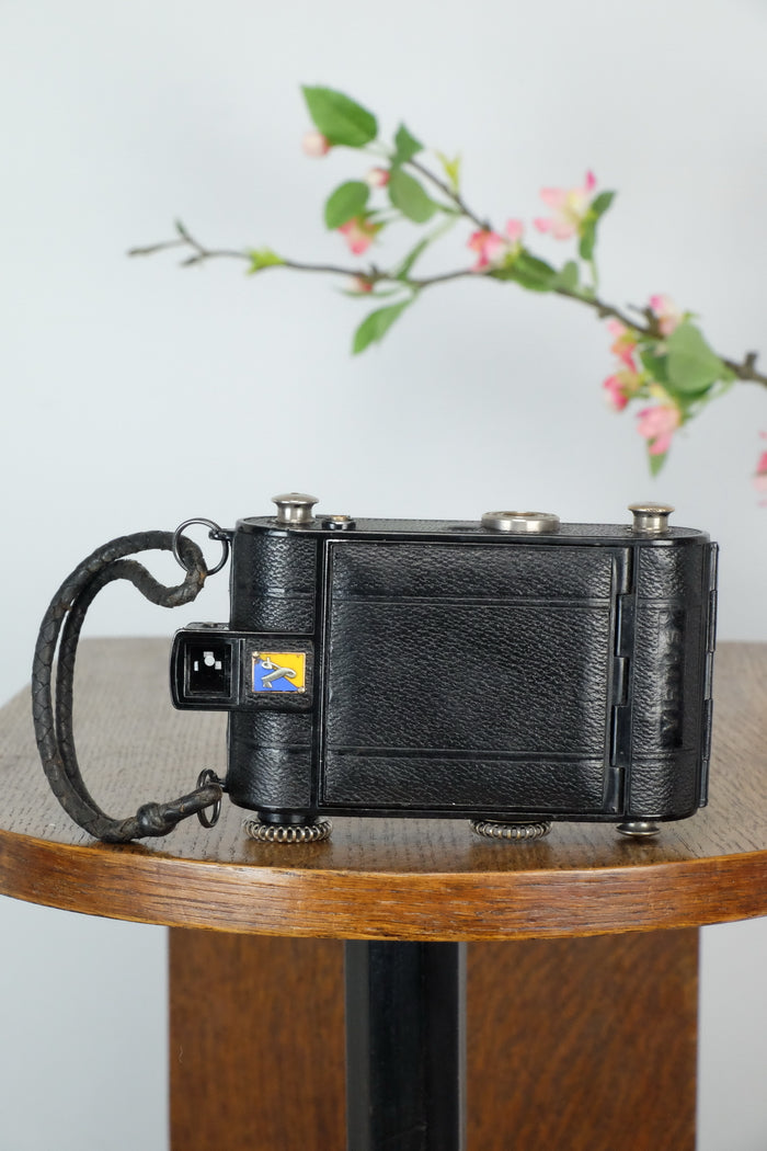 1934 Voigtlander Virtus 6x4.5 Folder, CLAd, Freshly Serviced! - Voigtlander- Petrakla Classic Cameras