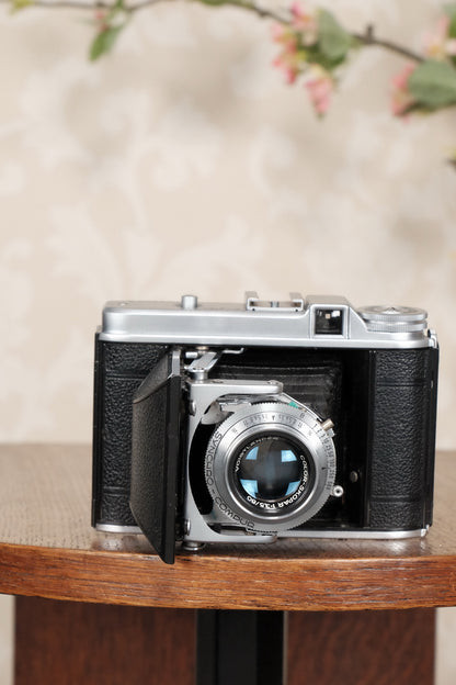 Near Mint! 1952 6x6 Voigtlander Perkeo II with Color-Skopar Lens & Synchro-Compur Shutter, CLA’d, Freshly Serviced! - Voigtlander- Petrakla Classic Cameras