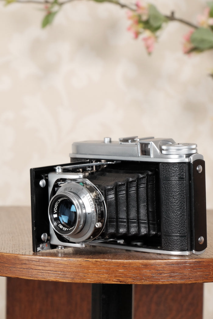 Near Mint! 1952 6x6 Voigtlander Perkeo II with Color-Skopar Lens & Synchro-Compur Shutter, CLA’d, Freshly Serviced! - Voigtlander- Petrakla Classic Cameras