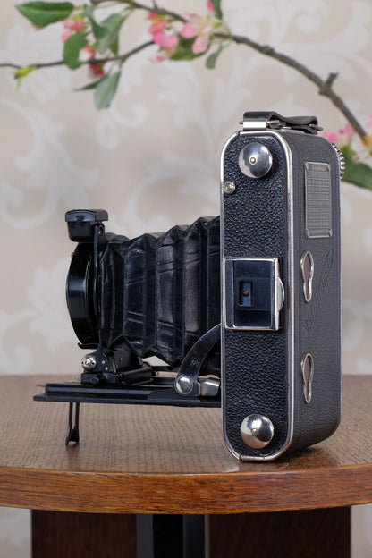 Near Mint! 1934 Voigtlander 6x9 Folder, CLA’d, Freshly Serviced!