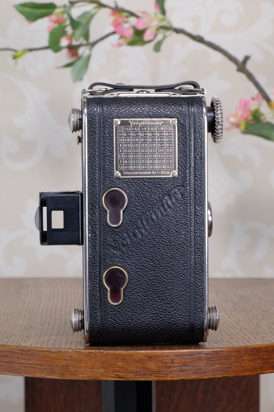 Near Mint! 1934 Voigtlander 6x9 Folder, CLA’d, Freshly Serviced!