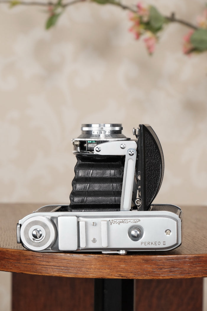 Near Mint! 1952 6x6 Voigtlander Perkeo II with Color-Skopar Lens & Synchro-Compur Shutter, CLA’d, Freshly Serviced! - Voigtlander- Petrakla Classic Cameras