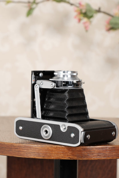 Near Mint! 1952 6x6 Voigtlander Perkeo II with Color-Skopar Lens & Synchro-Compur Shutter, CLA’d, Freshly Serviced! - Voigtlander- Petrakla Classic Cameras