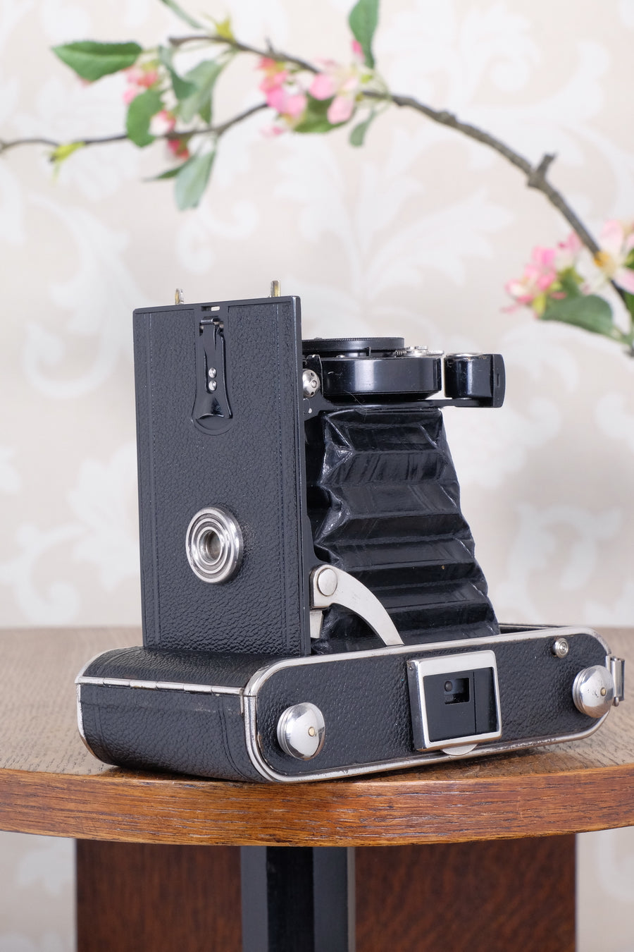 Near Mint! 1934 Voigtlander 6x9 Folder, CLA’d, Freshly Serviced!