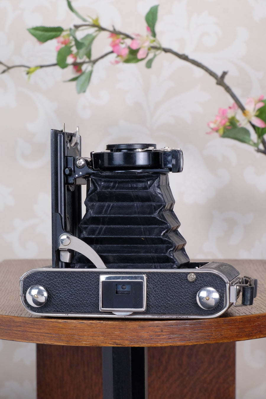 Near Mint! 1934 Voigtlander 6x9 Folder, CLA’d, Freshly Serviced!