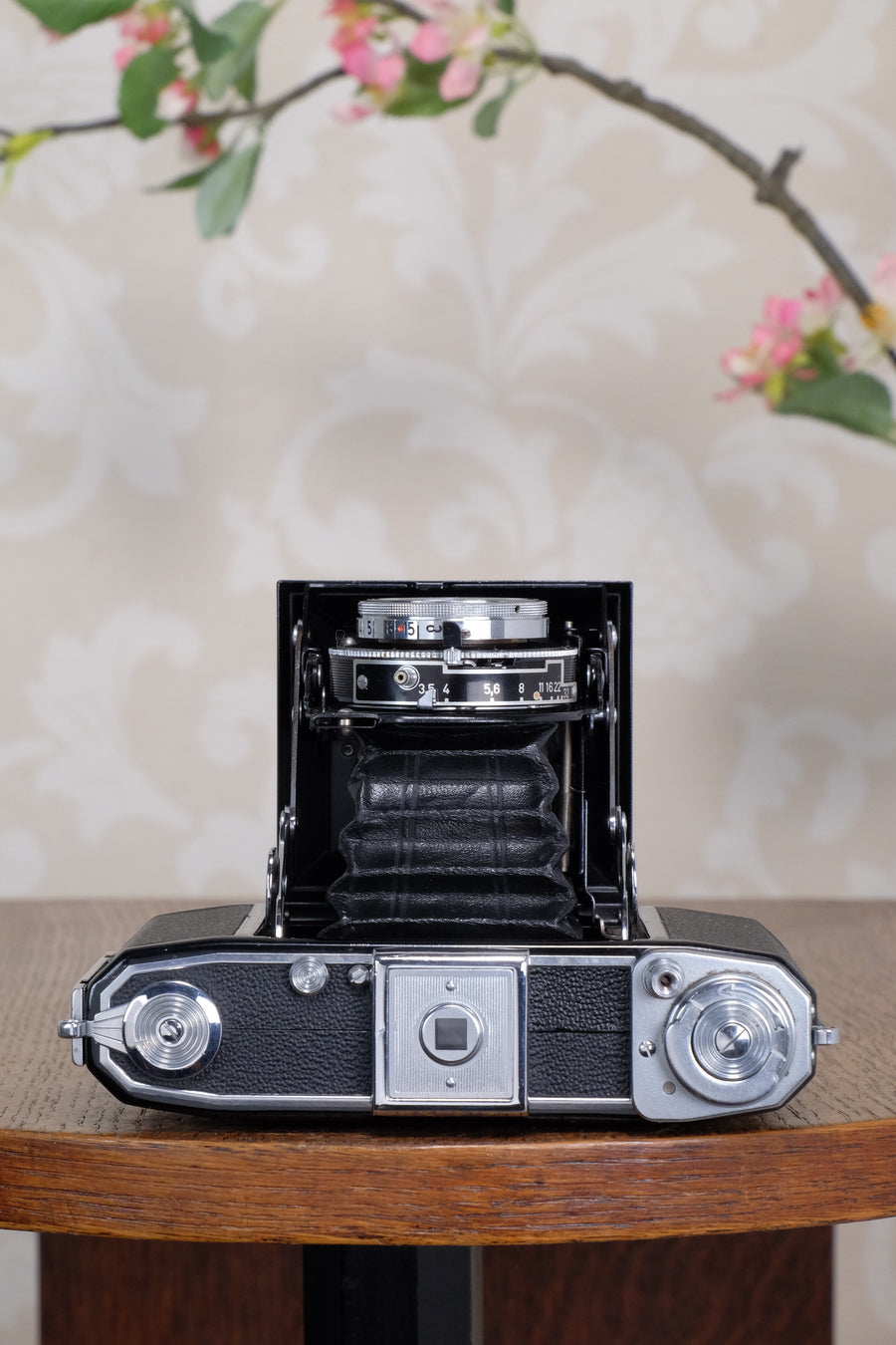 Near Mint! 1952 Zeiss Ikon Ikonta, Freshly Serviced, CLA'd