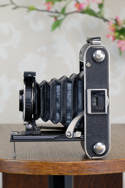 1935 Voigtlander Inos II 6x9 Folder, CLA’d, Freshly Serviced! - Voigtlander- Petrakla Classic Cameras