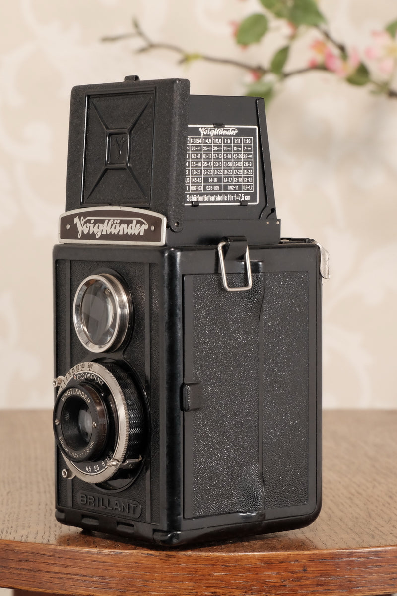 1938 Voigtlander Brillant 6x6 TLR, CLA'd, Freshly Serviced! - Voigtlander- Petrakla Classic Cameras