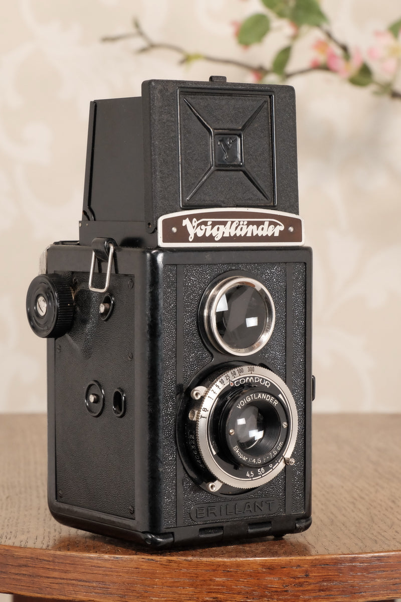 1938 Voigtlander Brillant 6x6 TLR, CLA'd, Freshly Serviced! - Voigtlander- Petrakla Classic Cameras