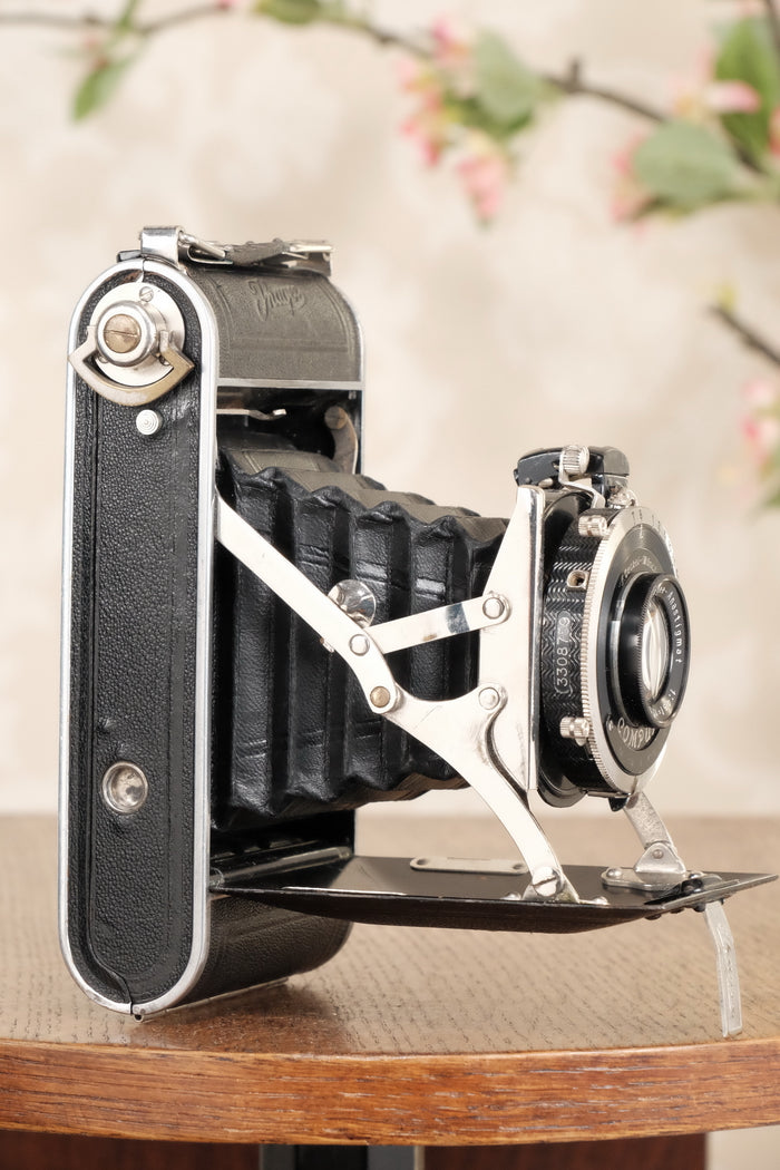 Excellent! 1936 Ihagee 6x9 Ultrix. CLA'd, Freshly Serviced! - Ihagee- Petrakla Classic Cameras