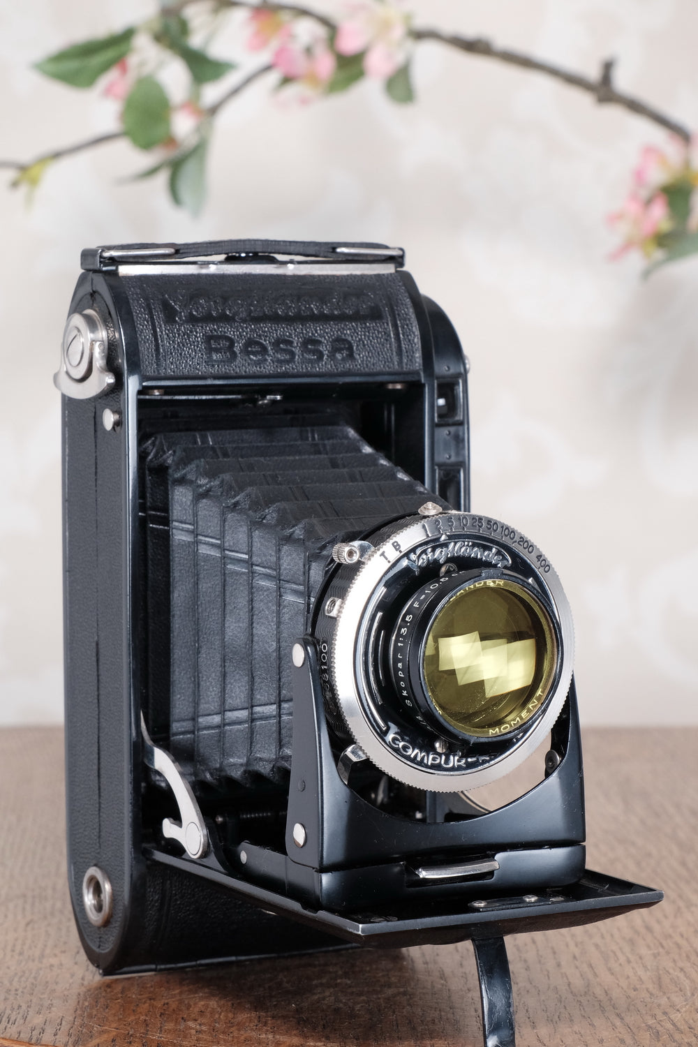 Near Mint! 1936 Voigtlander 6x9 Bessa Rangefinder. Freshly Serviced, CLA'd.