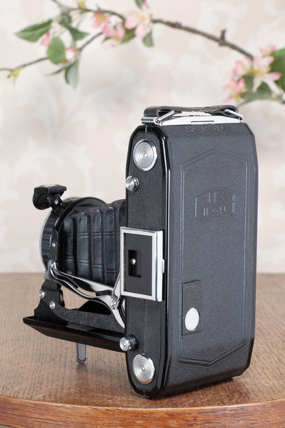 Mint! 1937 Zeiss Ikon 6x9 Nettar with Tessar Lens , Freshly Serviced, CLA'd!