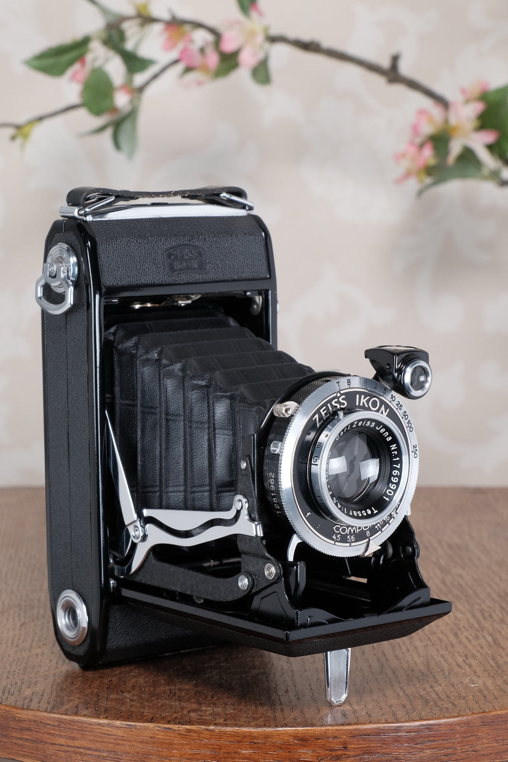 Mint! 1937 Zeiss Ikon 6x9 Nettar with Tessar Lens , Freshly Serviced, CLA'd!