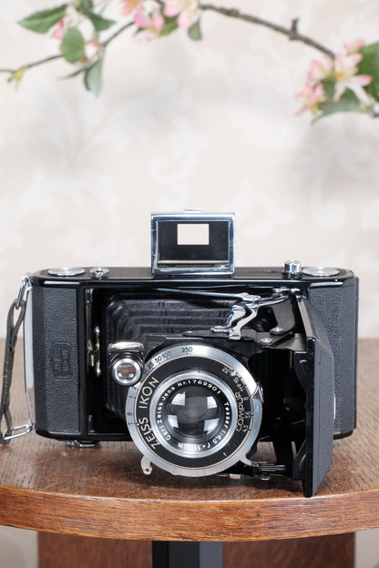 Mint! 1937 Zeiss Ikon 6x9 Nettar with Tessar Lens , Freshly Serviced, CLA'd!