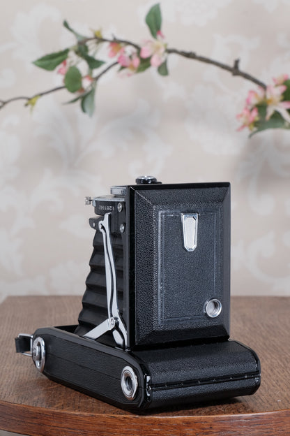 Mint! 1937 Zeiss Ikon 6x9 Nettar with Tessar Lens , Freshly Serviced, CLA'd!