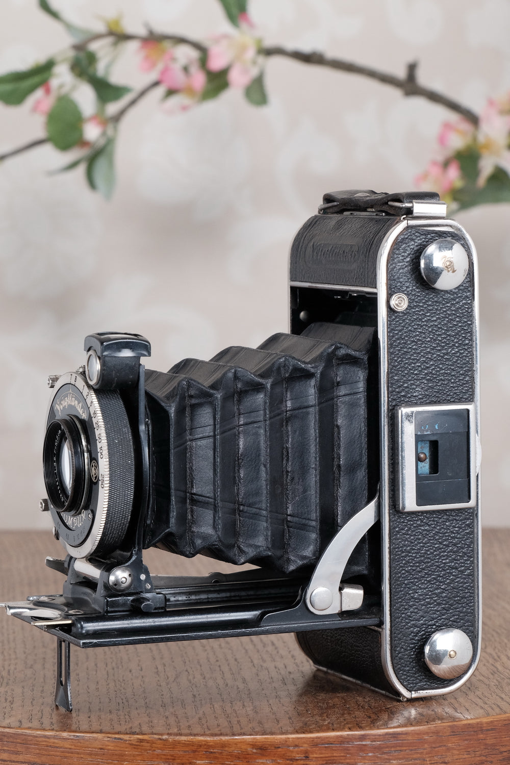 1935 Voigtlander Inos II 6x9 Folder. CLA’d, Freshly Serviced!