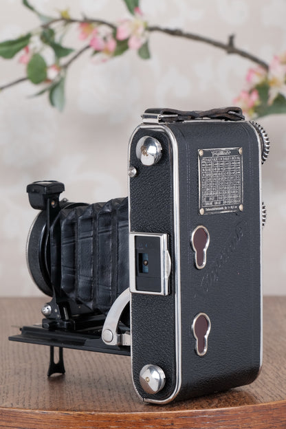 1935 Voigtlander Inos II 6x9 Folder. CLA’d, Freshly Serviced!