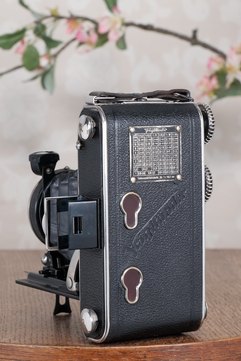 1935 Voigtlander Inos II 6x9 Folder. CLA’d, Freshly Serviced!