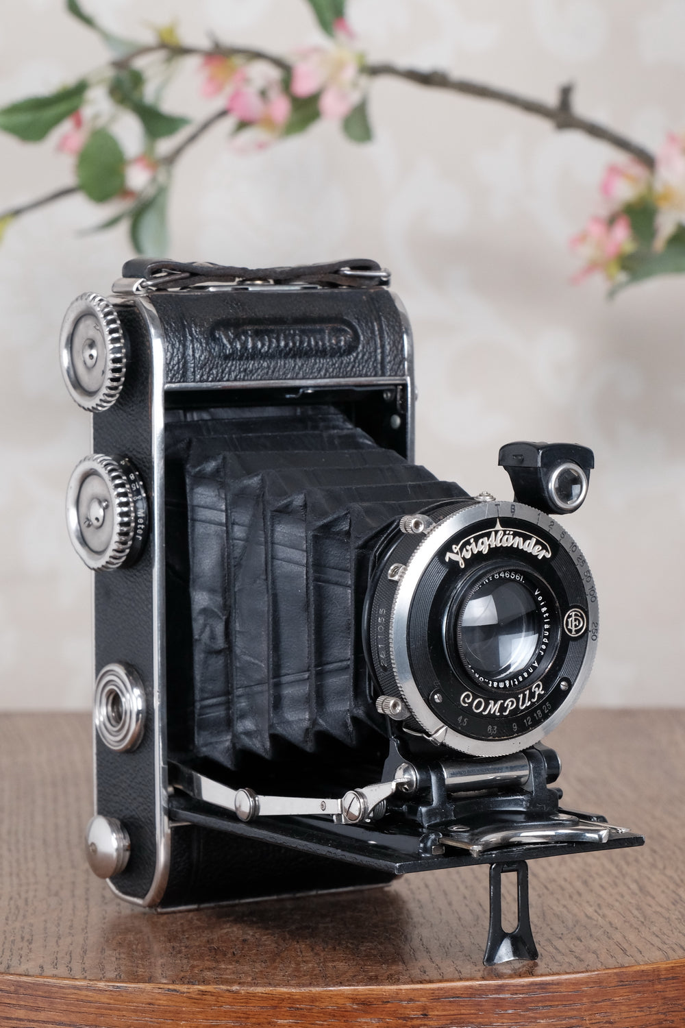 1935 Voigtlander Inos II 6x9 Folder. CLA’d, Freshly Serviced!